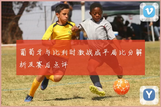 葡萄牙与比利时激战成平局比分解析及赛后点评