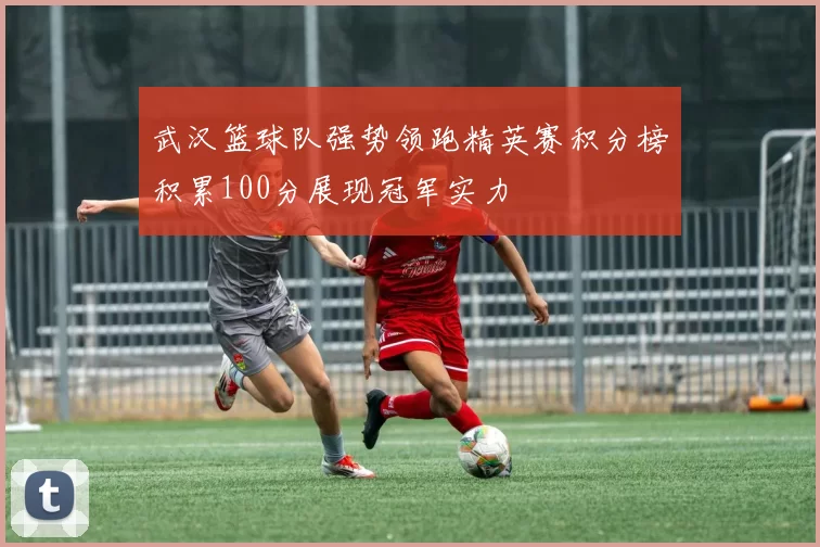 武汉篮球队强势领跑精英赛积分榜积累100分展现冠军实力
