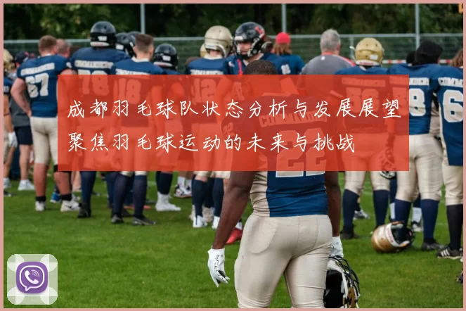 成都羽毛球队状态分析与发展展望聚焦羽毛球运动的未来与挑战