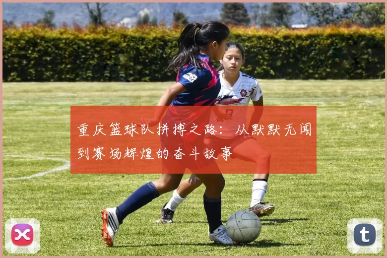 重庆篮球队拼搏之路：从默默无闻到赛场辉煌的奋斗故事