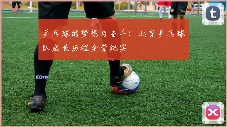 乒乓球的梦想与奋斗：北京乒乓球队成长历程全景纪实