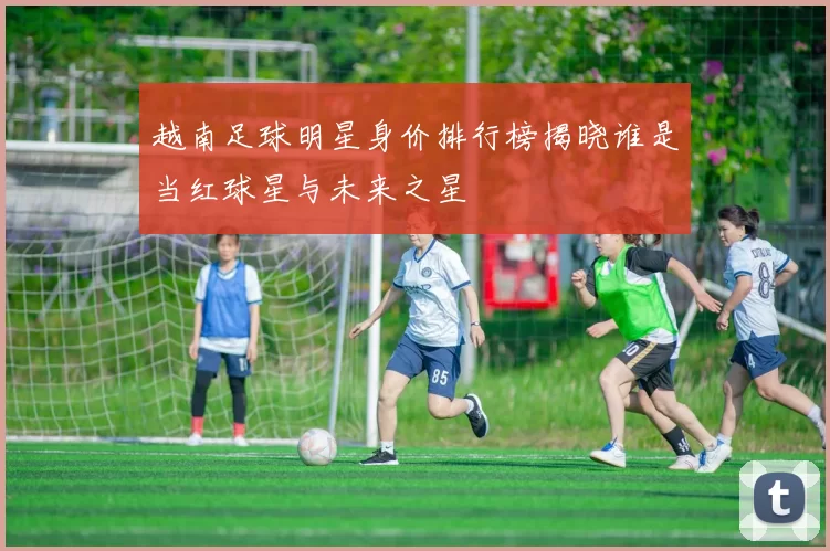越南足球明星身价排行榜揭晓谁是当红球星与未来之星