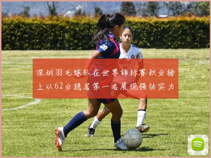 深圳羽毛球队在世界锦标赛积分榜上以62分稳居第一名展现强劲实力