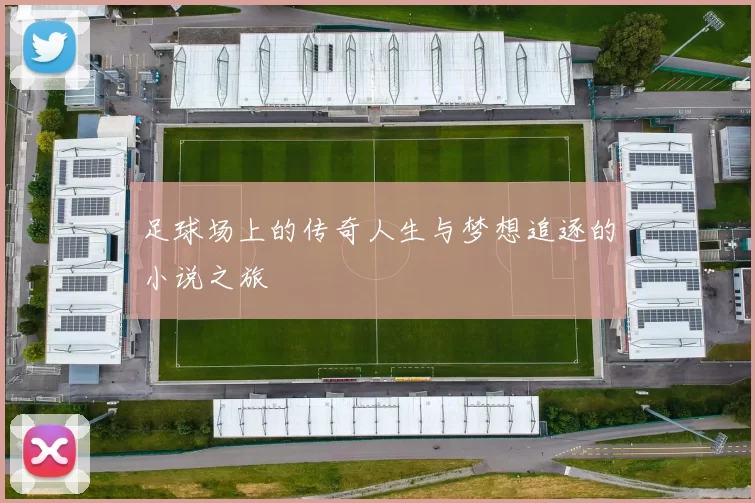 足球场上的传奇人生与梦想追逐的小说之旅