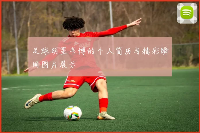 足球明星韦博的个人简历与精彩瞬间图片展示